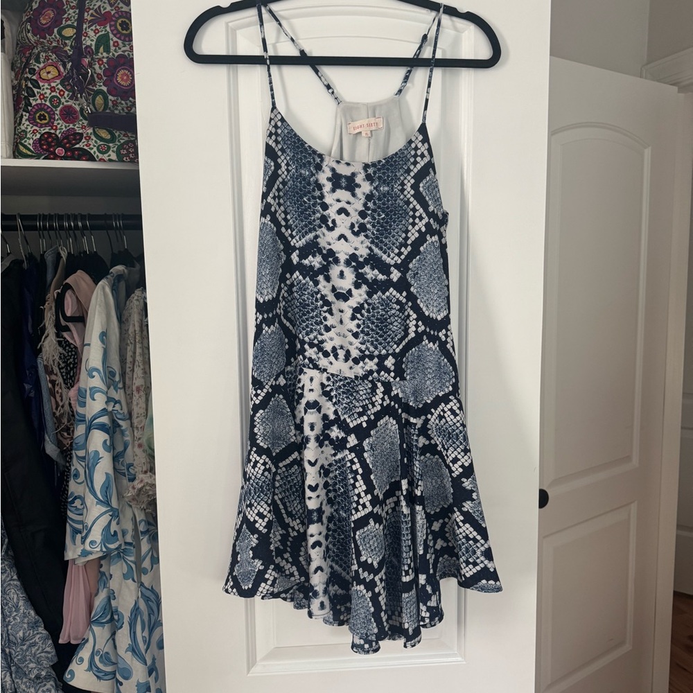 Blue and White Snake Print Dress